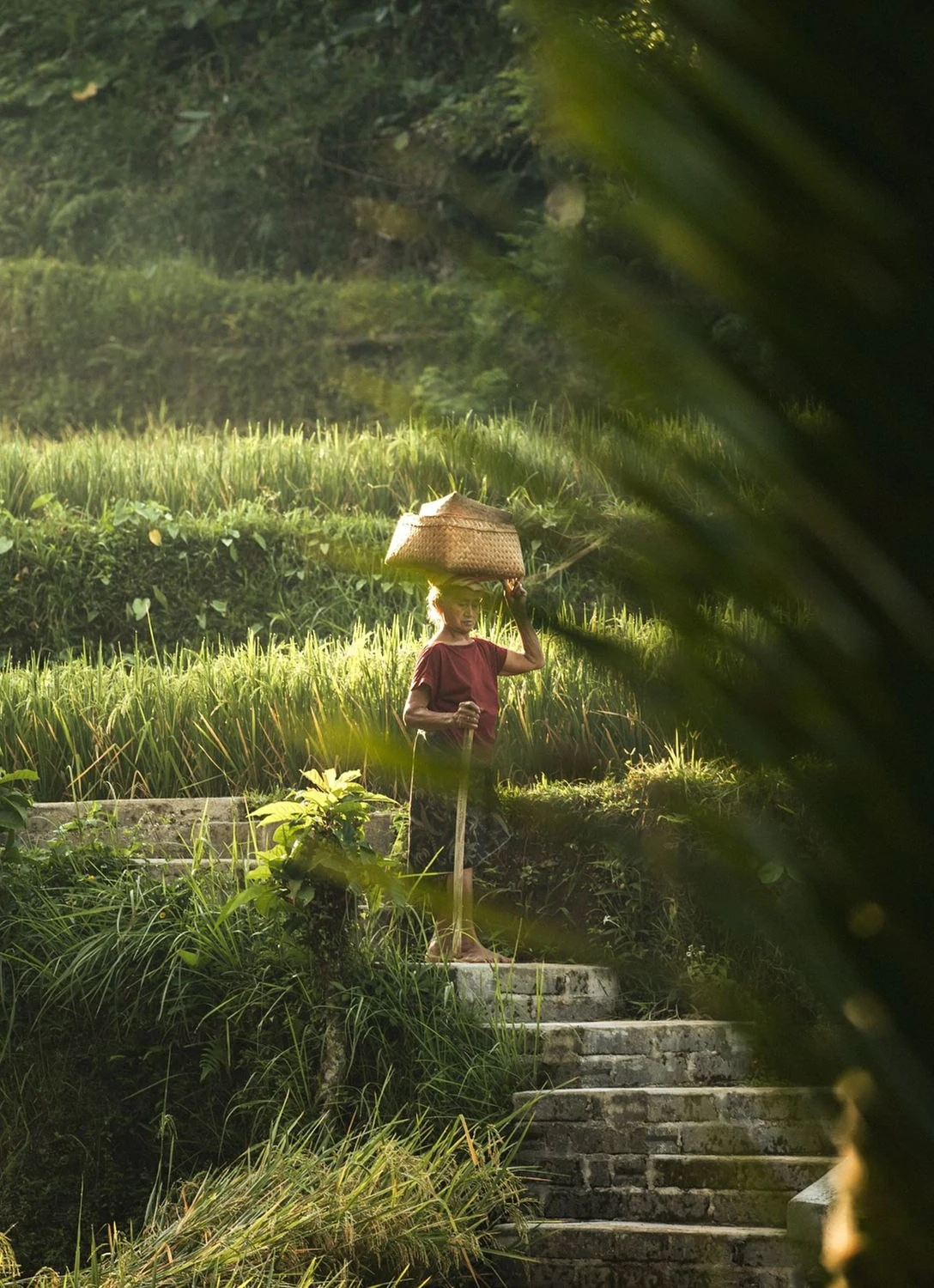 RURAL BALI