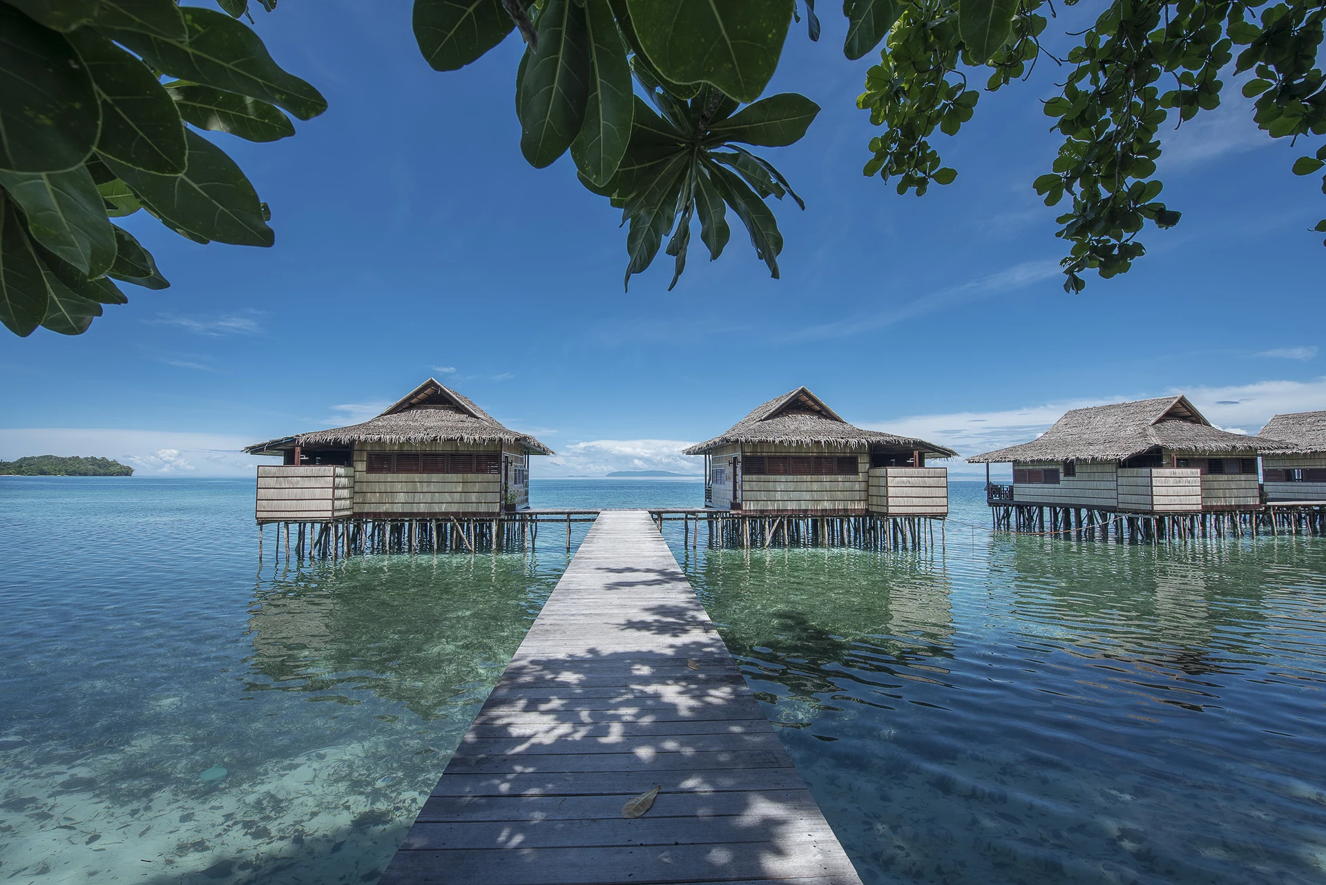 Papua Paradise // Raja Ampat