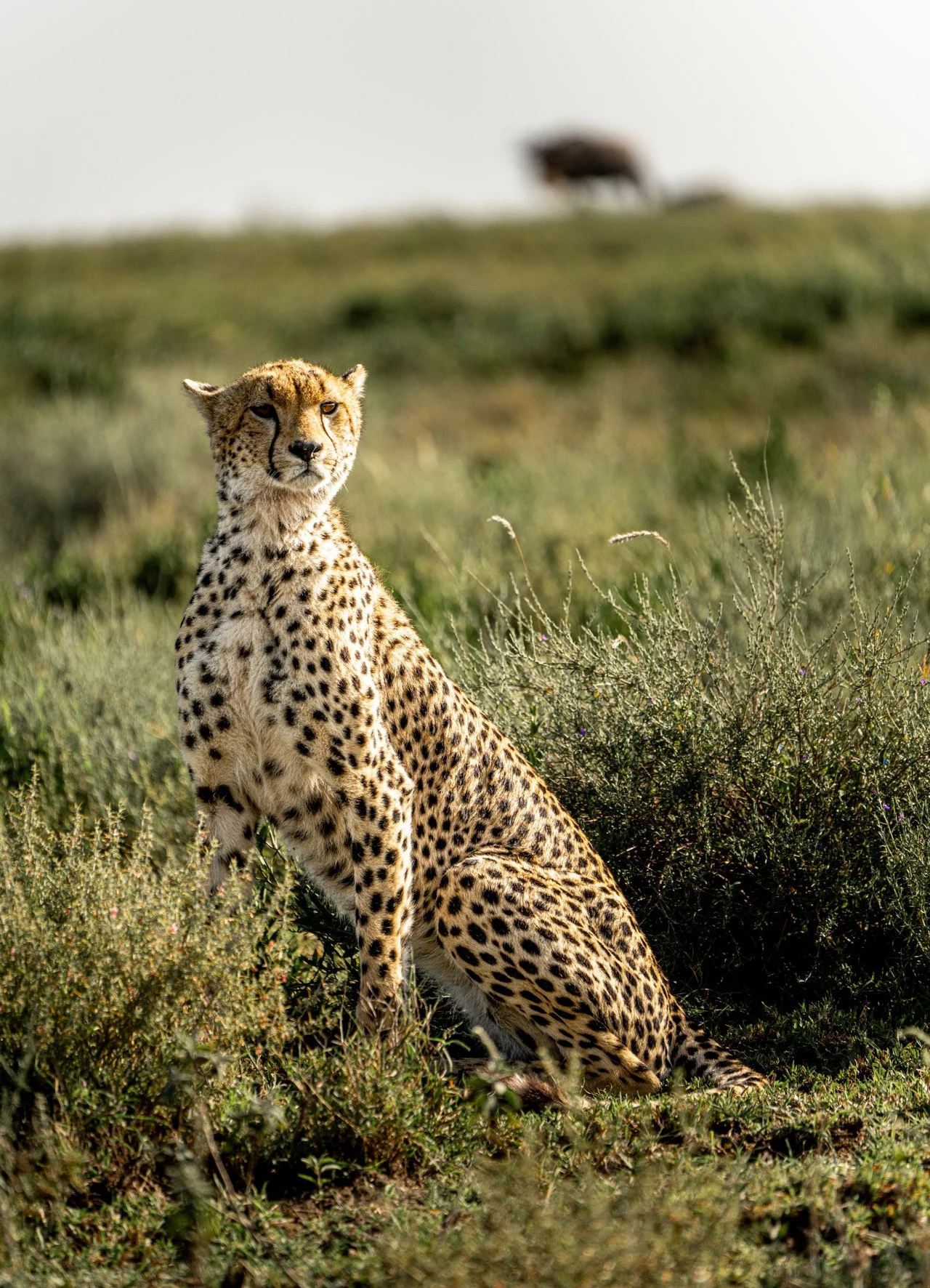NAKURU