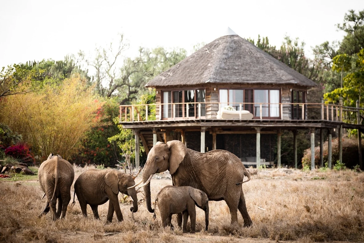 Segera Retreat // Laikipia