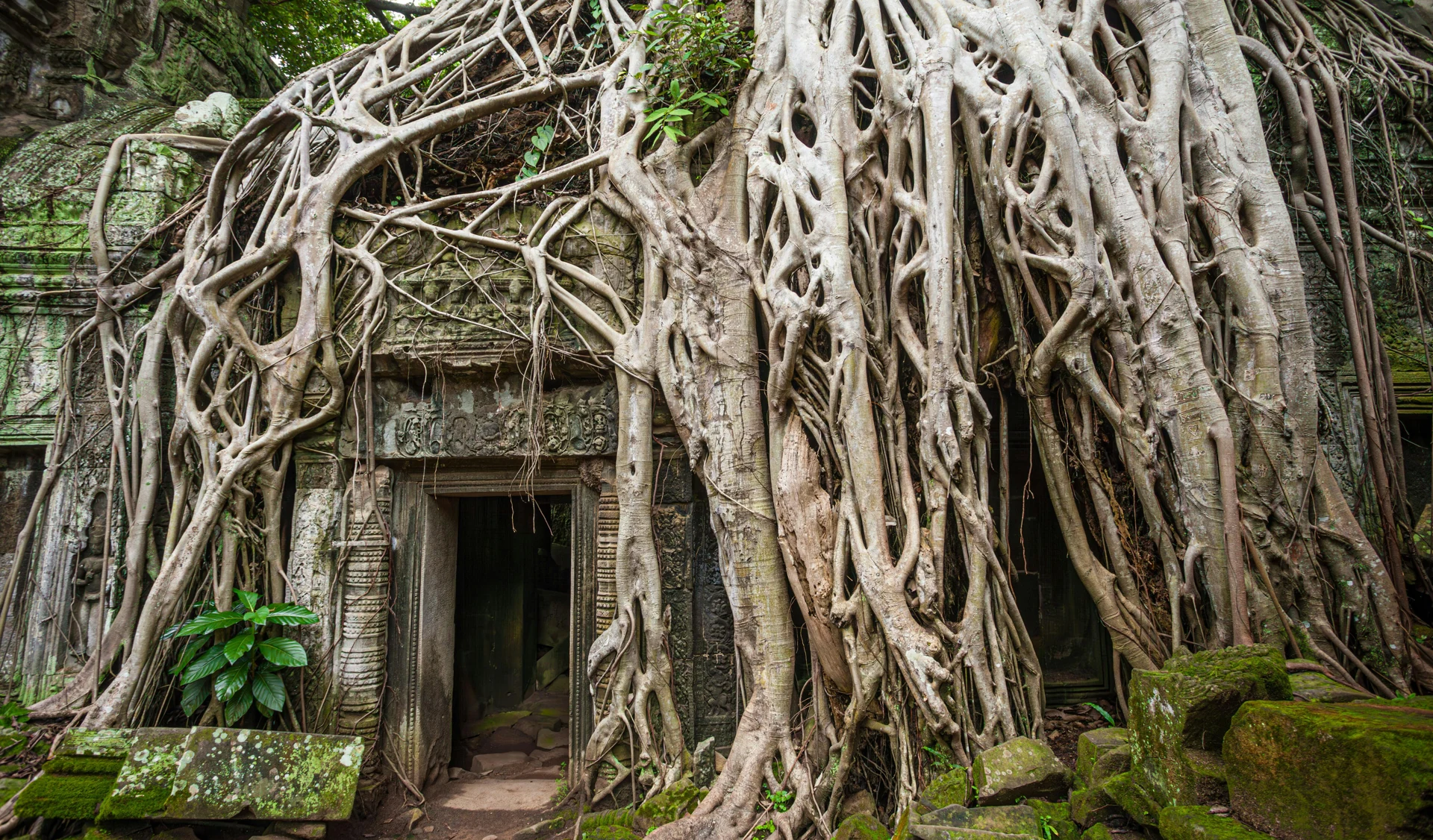 Southeast Asia