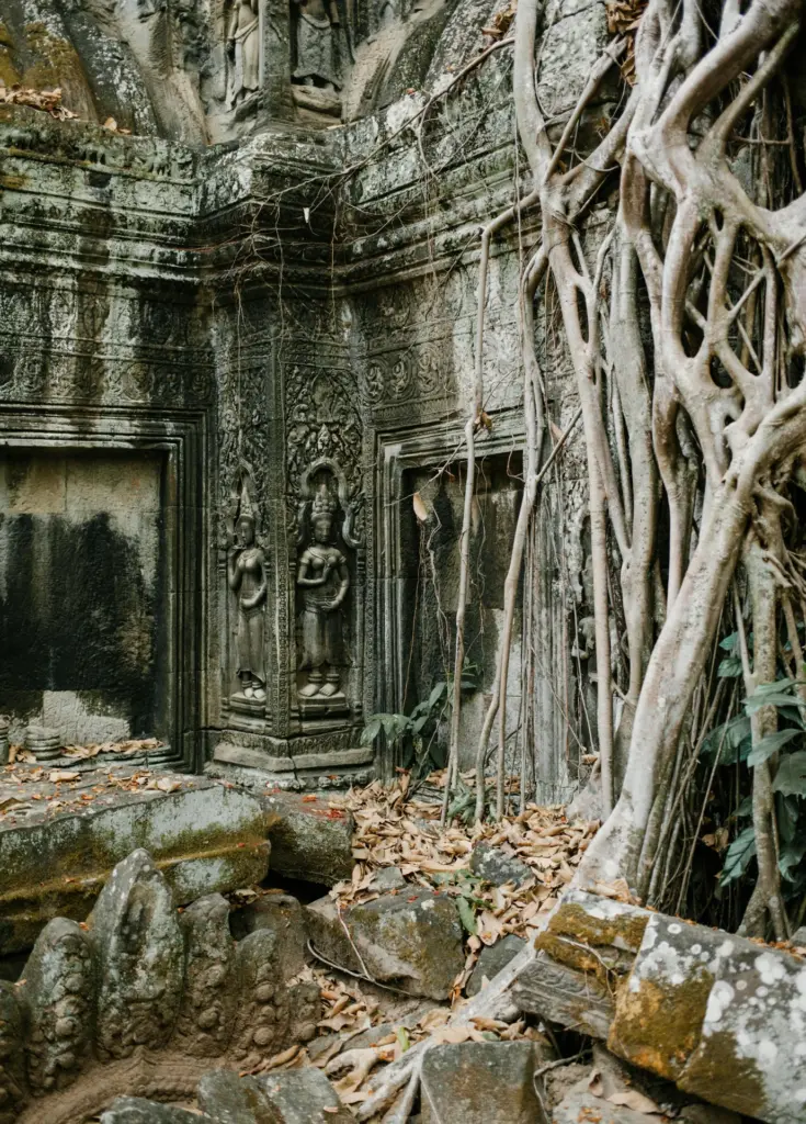 Tree roots winding around an ancient stone temple